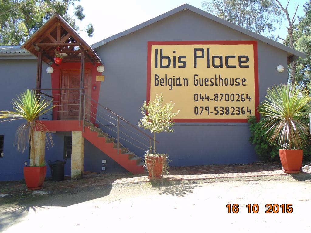 Ibis Place Guest House George Værelse billede